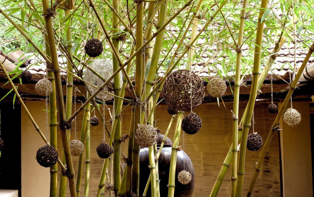 Clayfingers Art Holiday home Thrissur